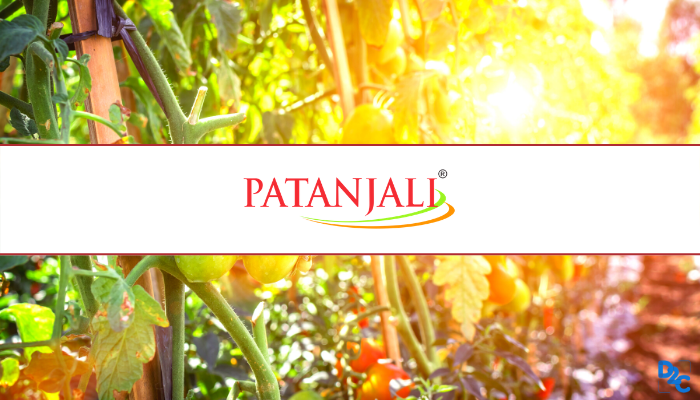 Internship at Patanjali: A journey to learn and connect -By Kalpit Bhawnani from FLAME University, Pune