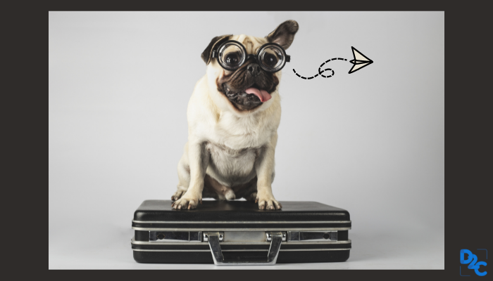 30 international scholarships that you can apply without IELTS (fully funded)