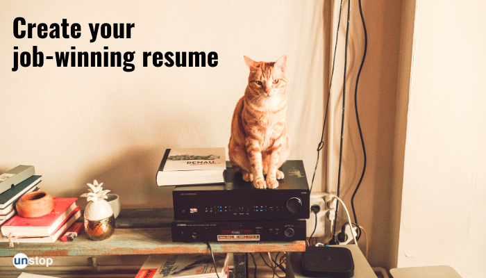 6 Tips For Creating The Best Resume Format On Your Own!