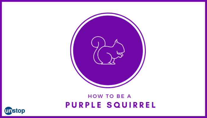 How To Become A Purple Squirrel For Employers?