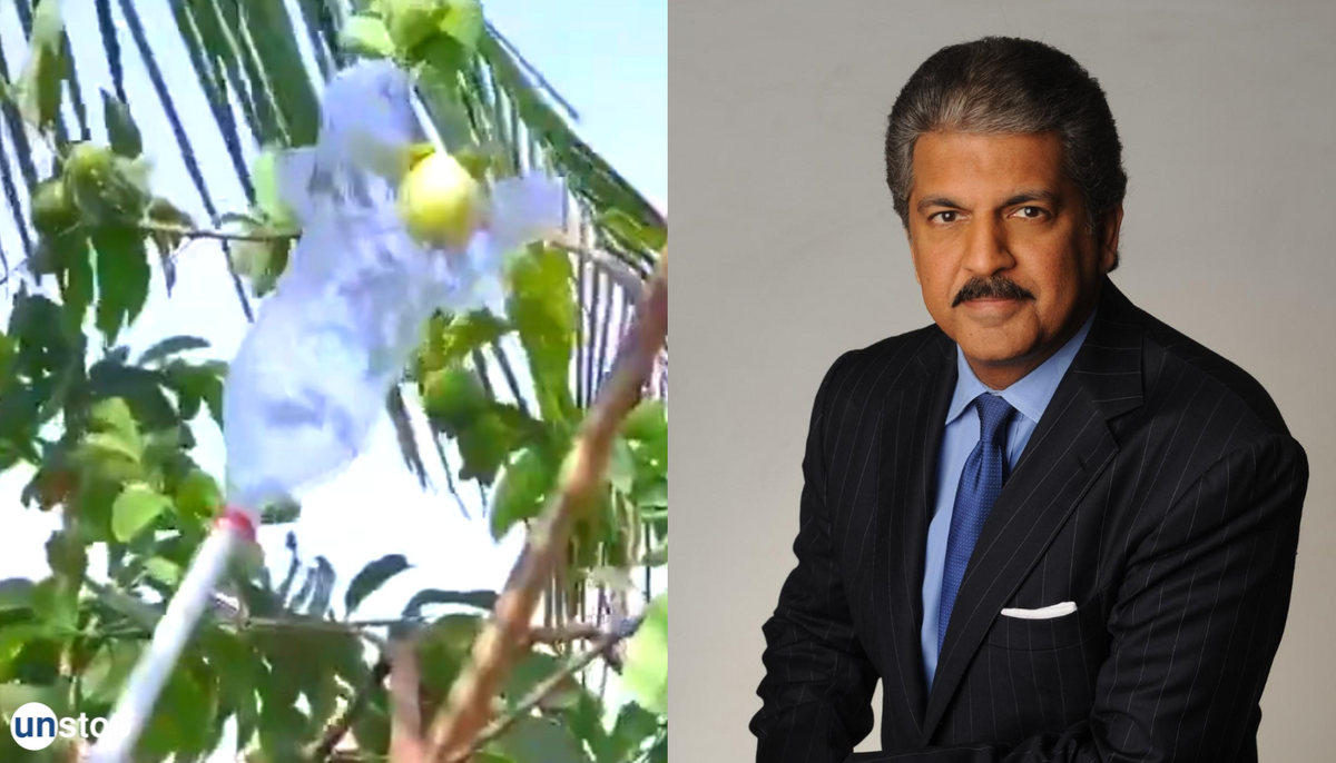 A Fan Of 5-Minute Crafts? Here Is Something Useful That Even Impressed The Mahindra Group Chairman