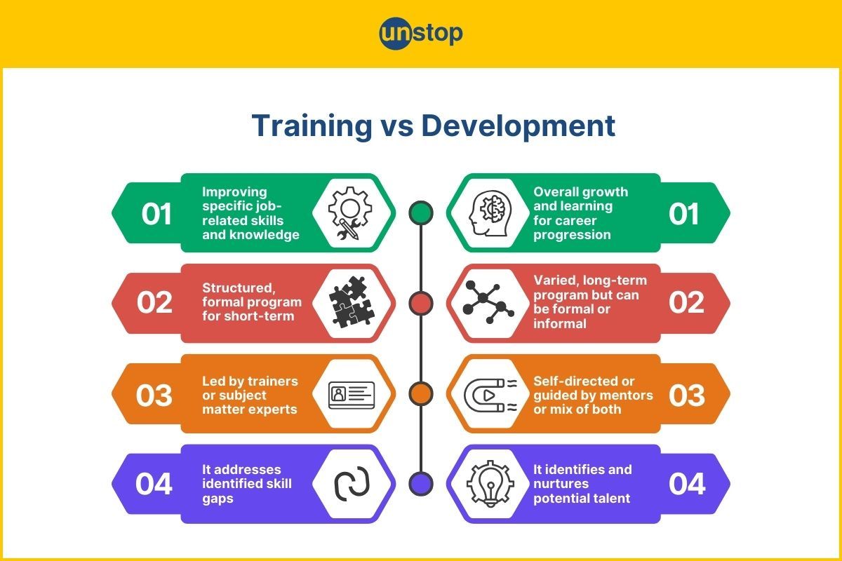 Difference Between Training and Development Explained (With Examples)