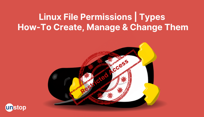 Linux File Permissions Simplified In This Complete Guide!