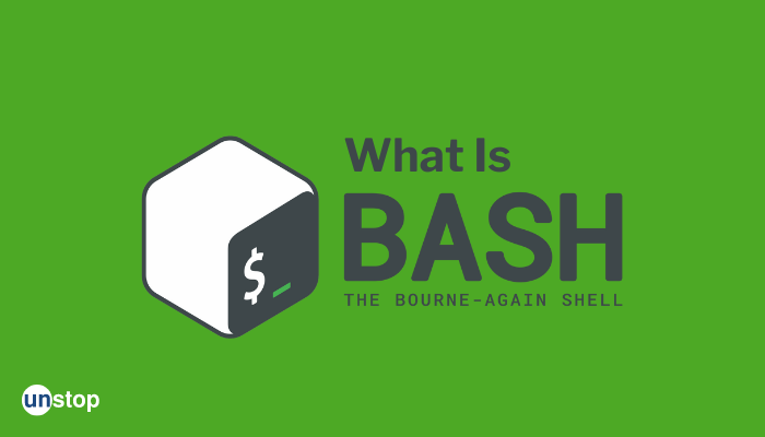 What Is Bash? Features, Major Concepts, Commands, & More!