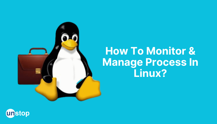 Process Management In Linux | Stages, Types & Commands