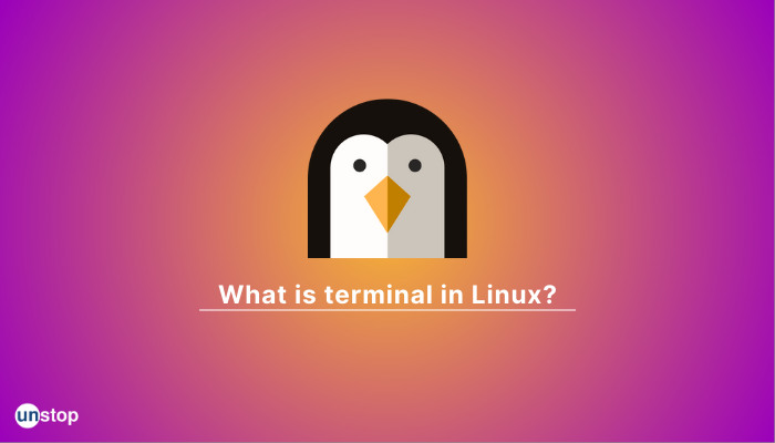 What Is Terminal In Linux? | Components, Types​​ & Standard Commands