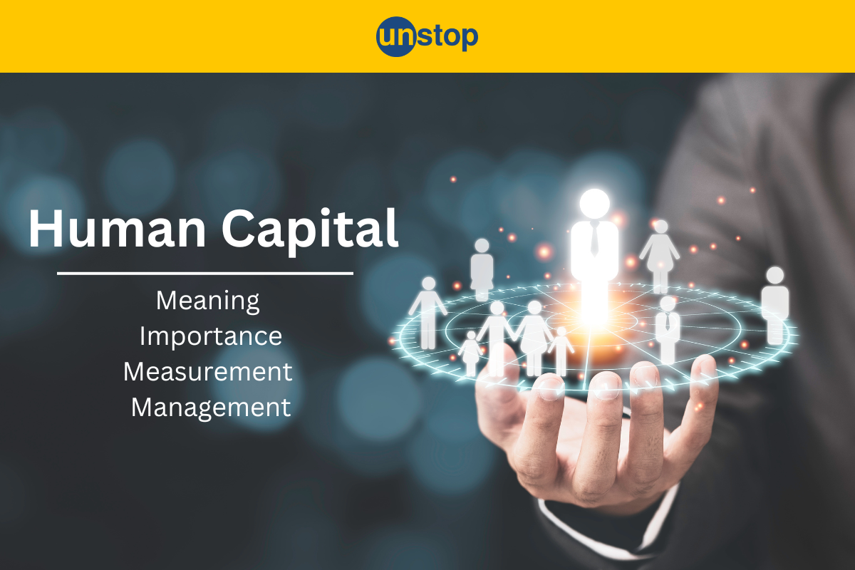 Human Capital: Meaning, Examples, Types & More!