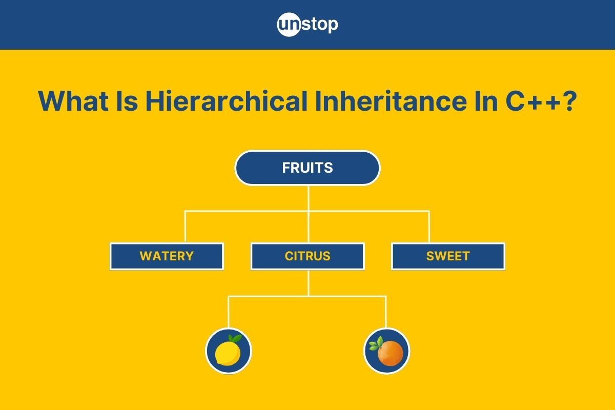 Hierarchical Inheritance In C++ Explained With Real-Life Examples