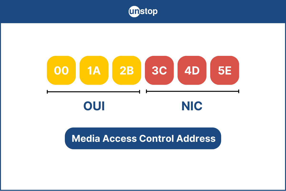 What Is A MAC Address? How Is It Different From An IP Address?