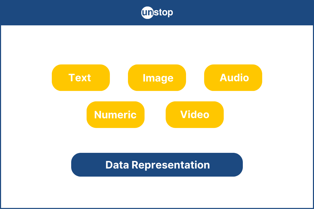 Data Representation: How Computers Represent Text, Numbers, and Media