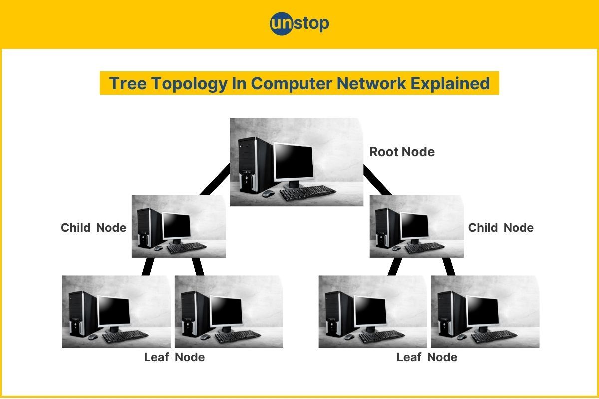 Tree Topology | Advantages & Disadvantages In Computer Network 