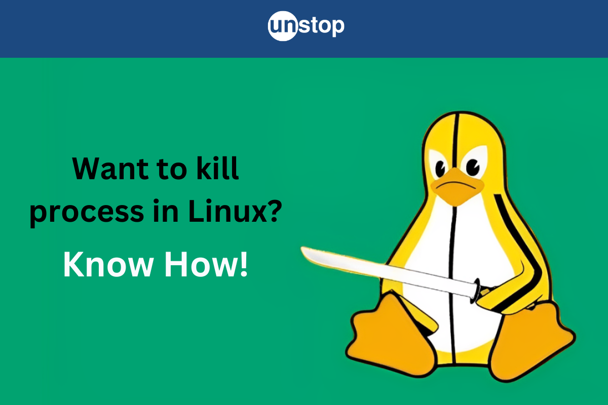 How To Kill Process In Linux   Kill Commands, Options & More // Unstop