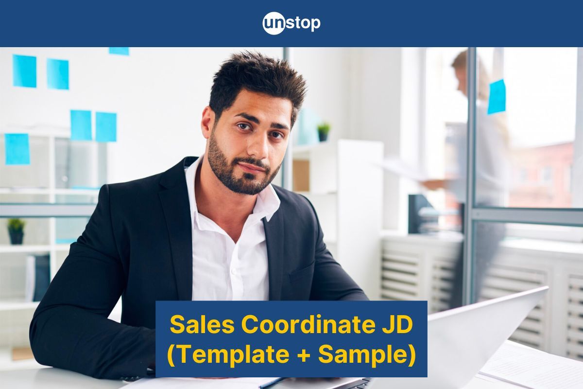 Sales Coordinator Job Description  2024  (Template & Samples)