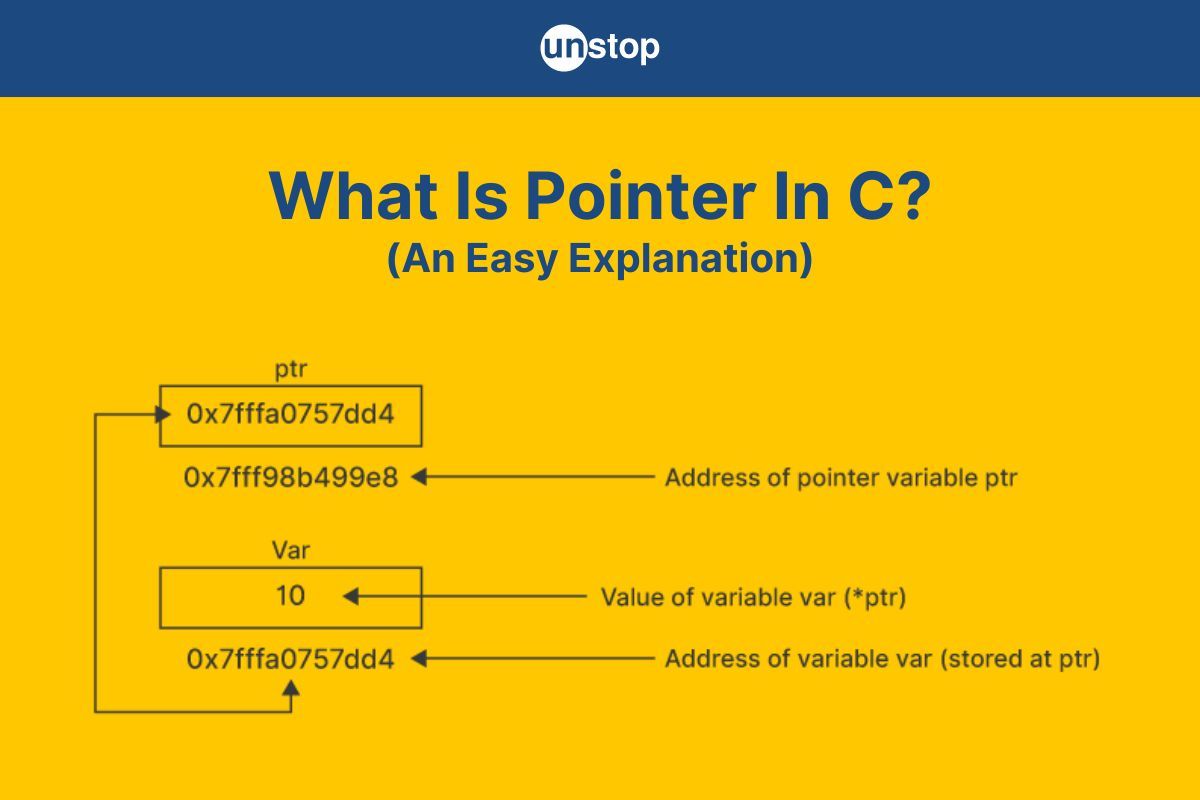 Pointers In C | Ultimate Guide With Easy Explanations (+Examples)