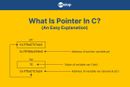 Pointers In C | Ultimate Guide With Easy Explanations (+Examples)