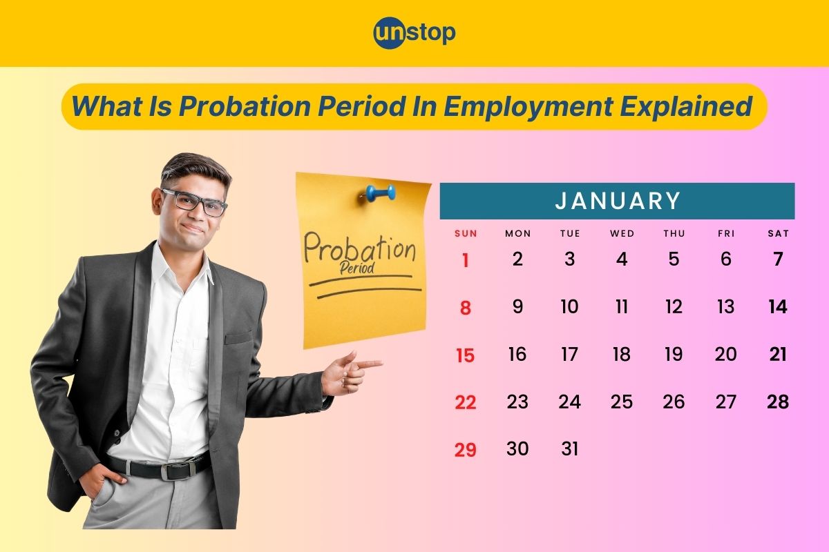 What Is Probation Period- Definition, Importance & Success Tips