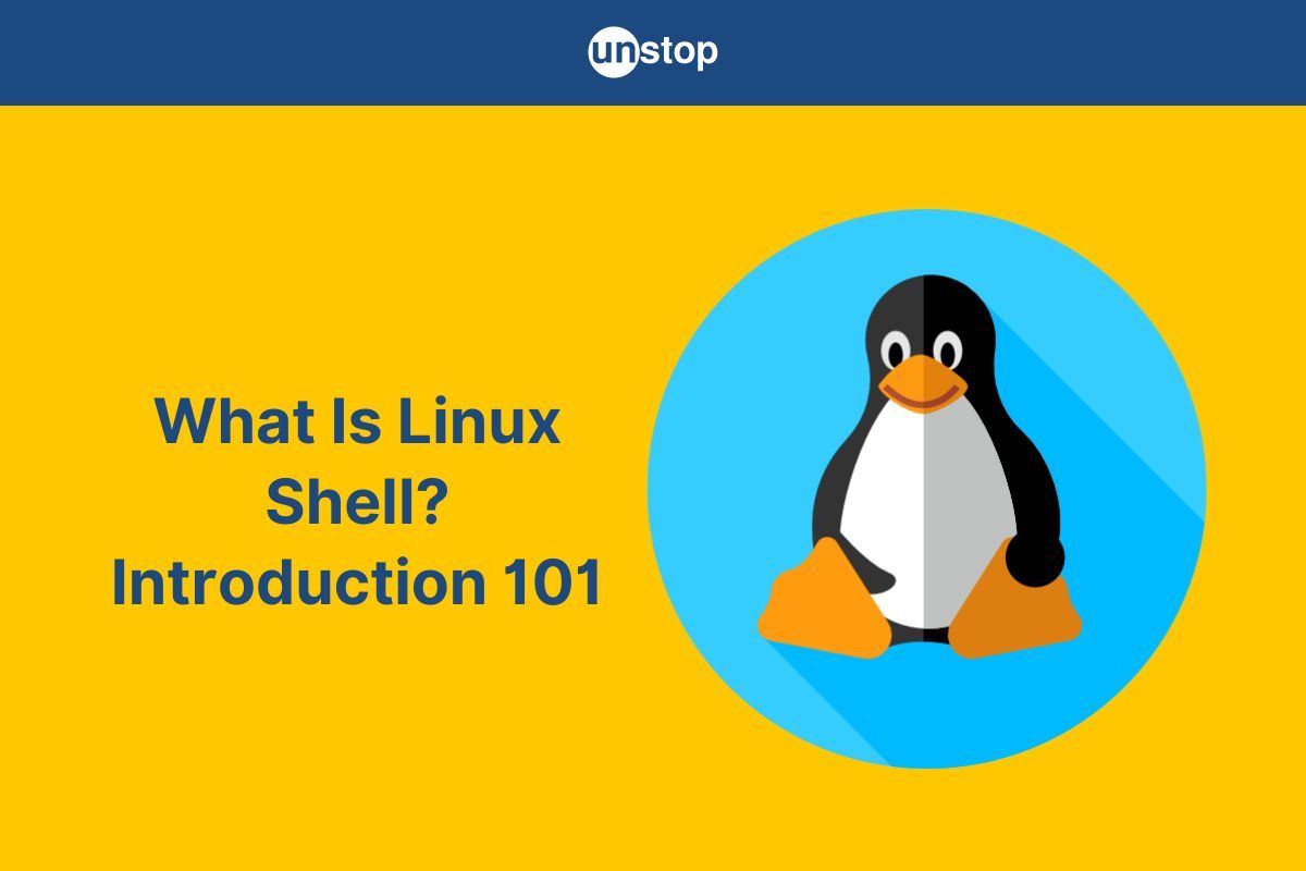 Introduction To Linux Shell, Features, Types, Scripting & More