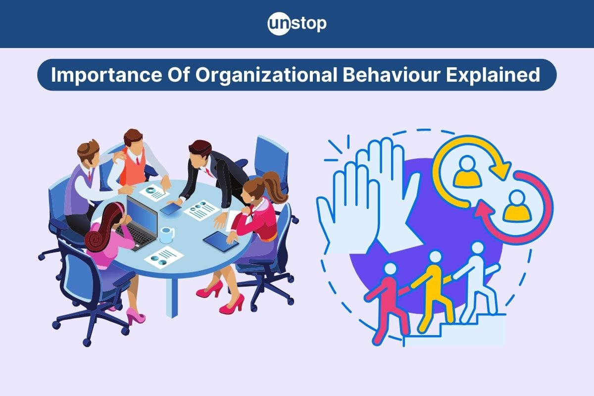 Importance of Organizational Behavior: 9 Top Benefits Explained