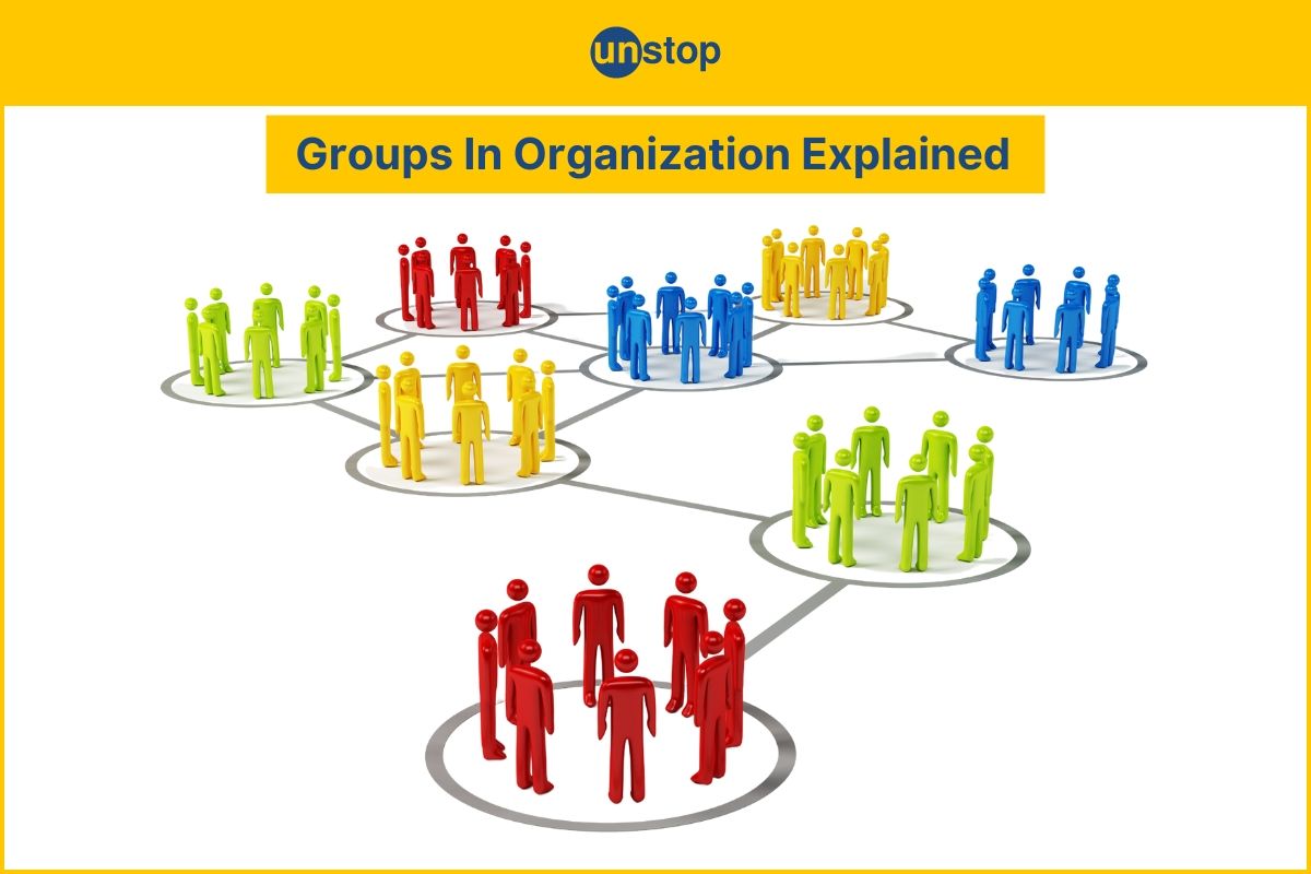 Groups In Organization: Definition, Types & Advantages Explained