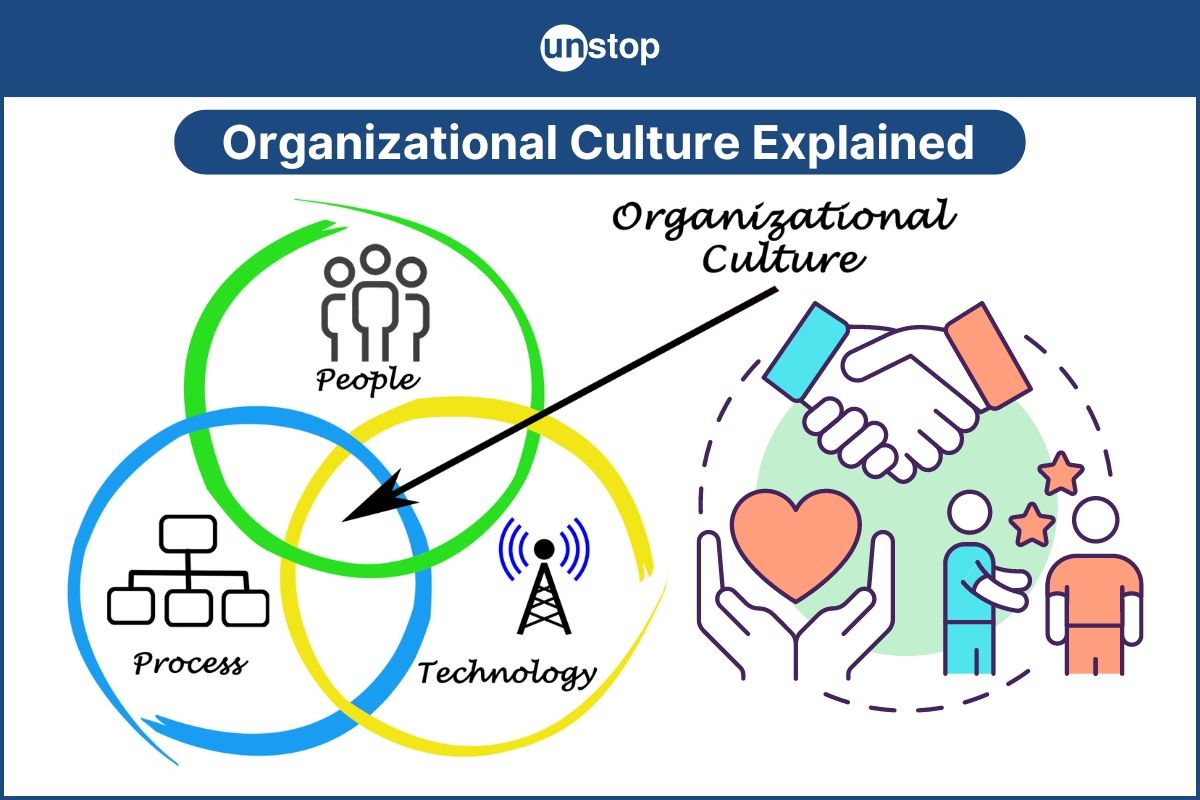 What Is Organizational Culture? Definition & Characteristics // Unstop