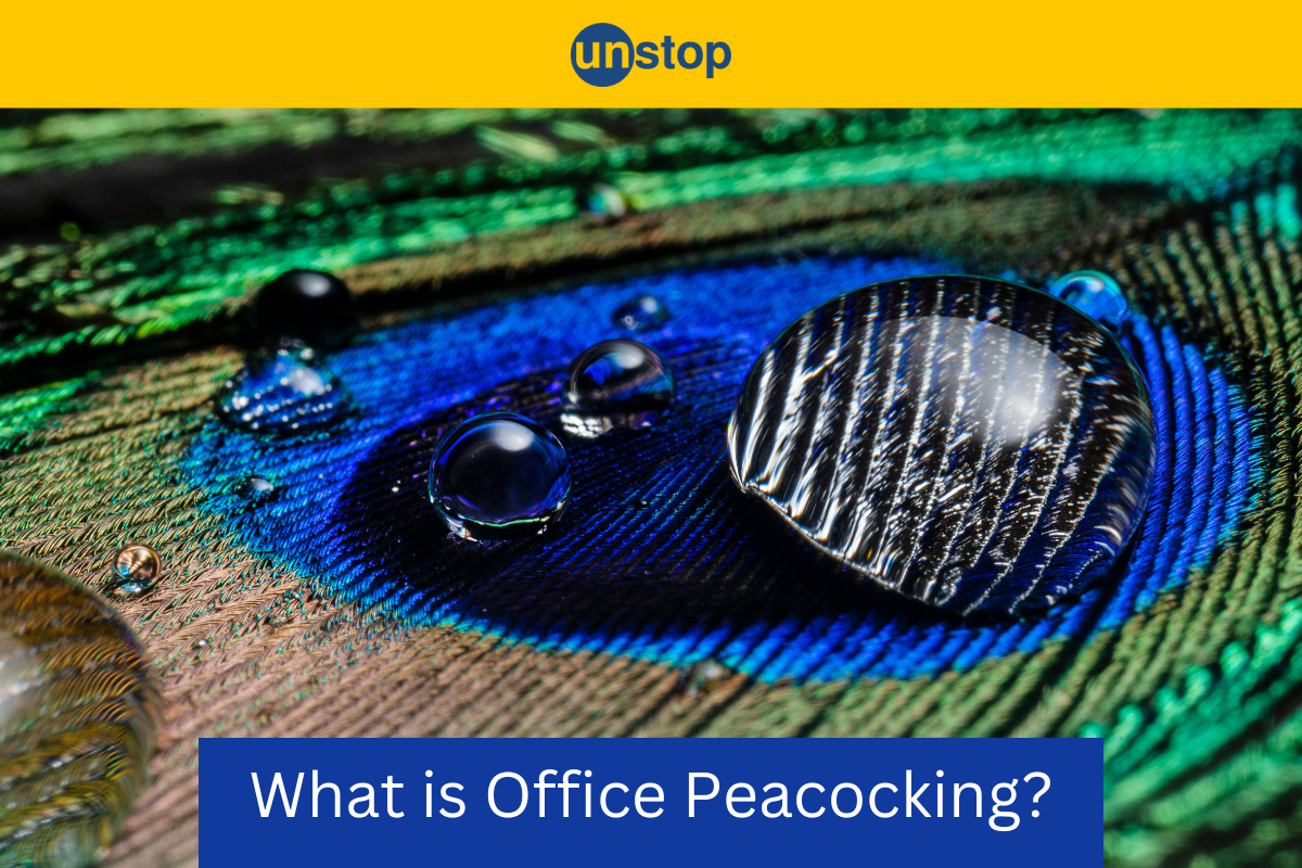 Office Peacocking: Revamping Workspaces Into Welcoming Retreats