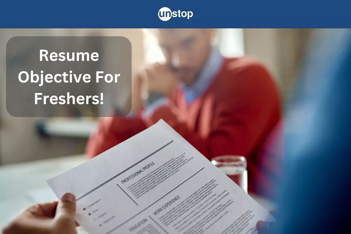 How To Write The Perfect Resume Objective For Freshers!