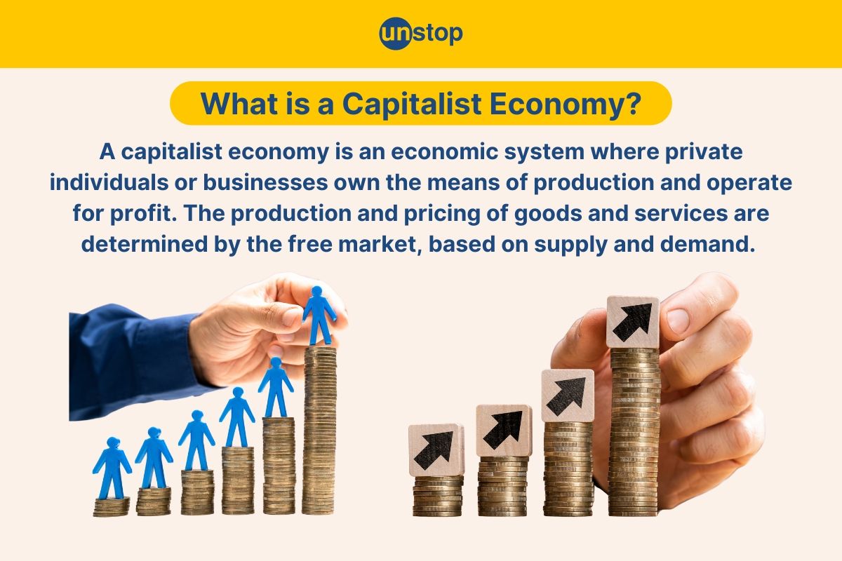 What is a Capitalist Economy? Definition, Features, Merits & Demerits