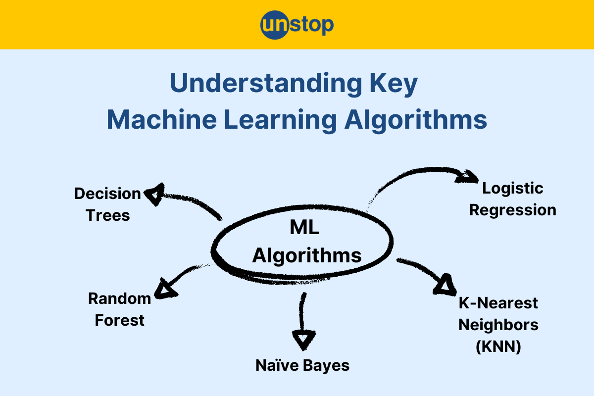 Machine Learning Algorithms: Techniques, Applications, And Insights