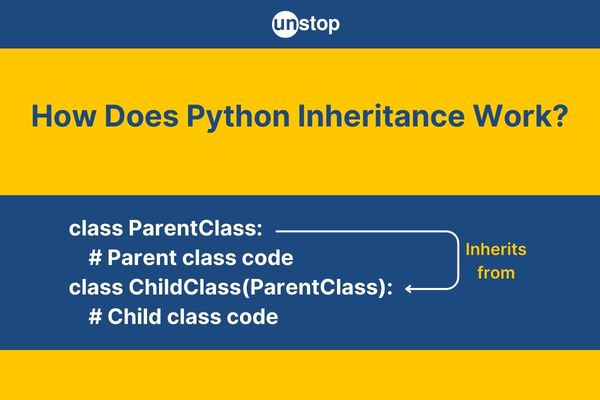 Python Inheritance | Components, Usage & Types (+Code Examples)