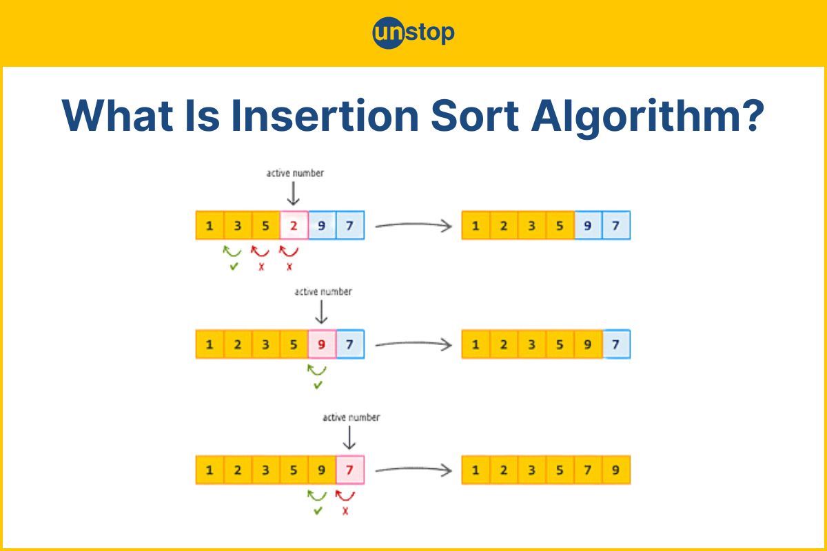Insertion Sort Algorithm - Working Explained (+Code Examples)