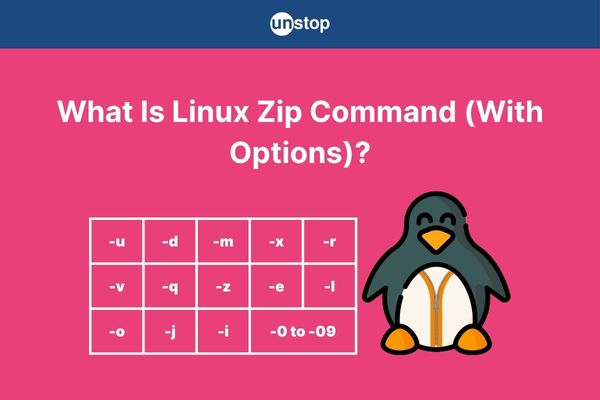 Linux Zip Command Explained: Syntax, Working, Options, & Examples