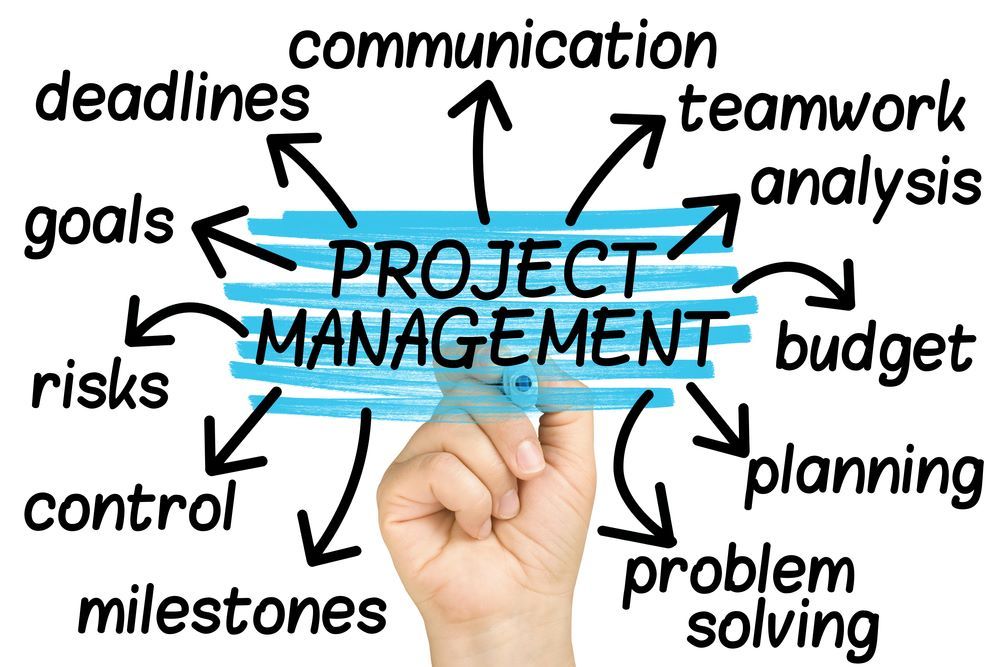 My internship at Lowe Lintas refined my skills in Project Management -By Puja Ashwini from IIM Rohtak