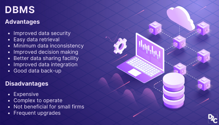 What Is Database Management System Dbms Advantages And Disadvantages