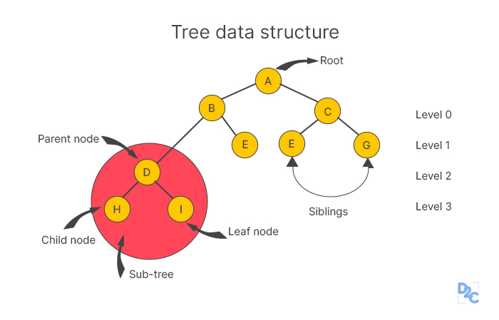 Difference Between Linear And Non Linear Data Structures Unstop 