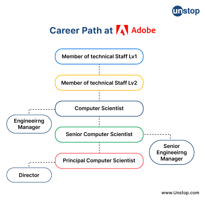 Adobe Career Path