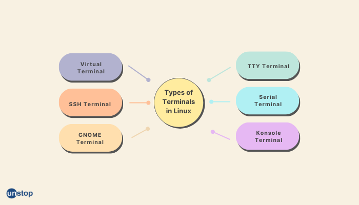 Types of terminals in linux 