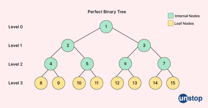 Perfect Binary Tree - Top 50 Microsoft Interview Questions