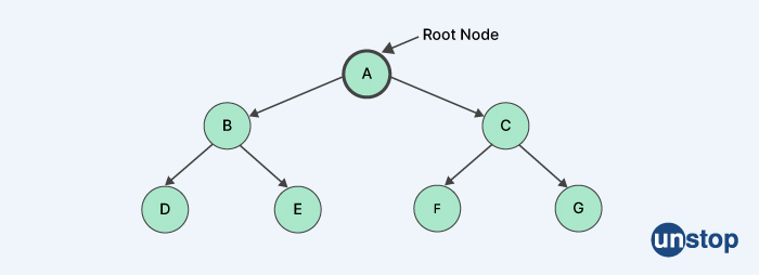 What is root node? 