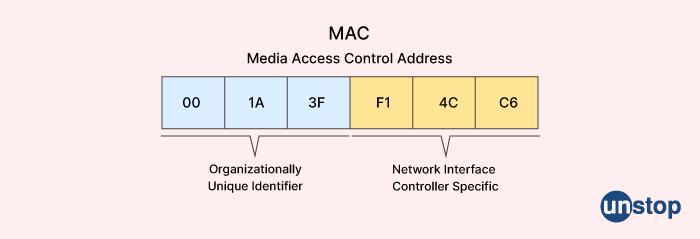 media access control address - cisco interview questions