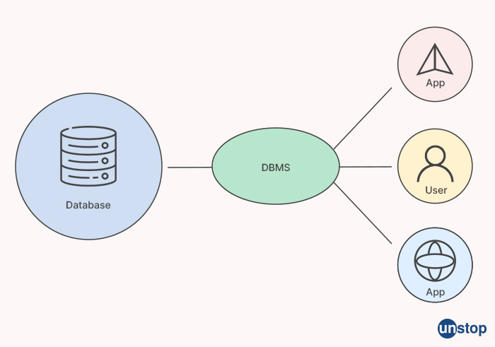 What is DBMS - HCL interview questions