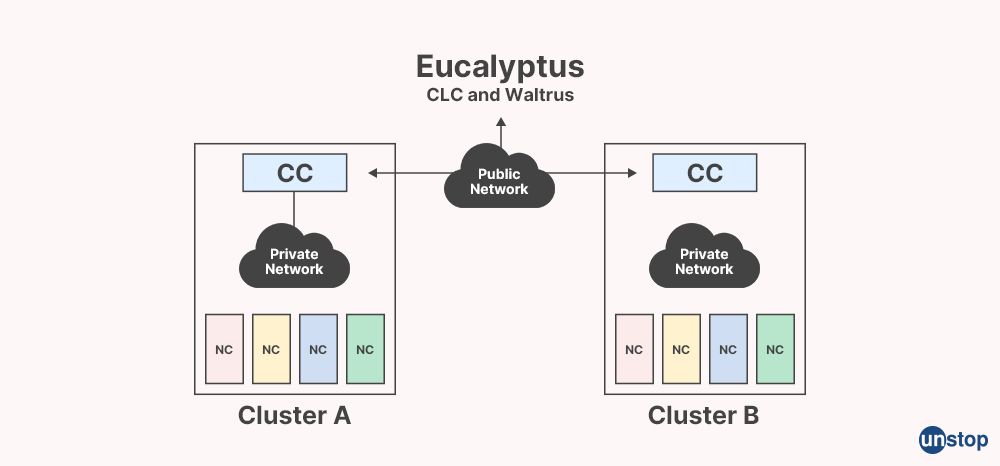 Eucalyptus, CLC, Waltrus - Wipro interview questions