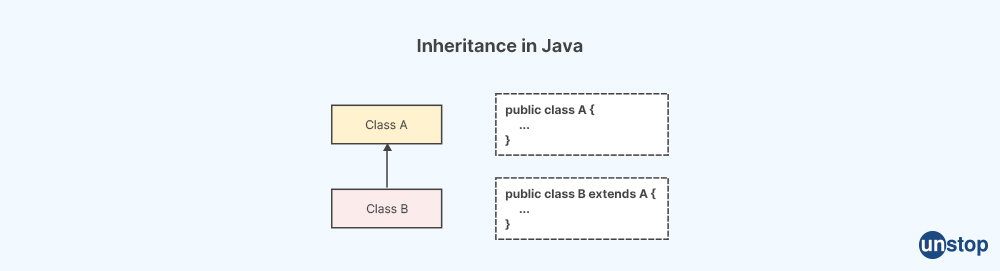 Inheritance in Java - Capgemini Interview Questions