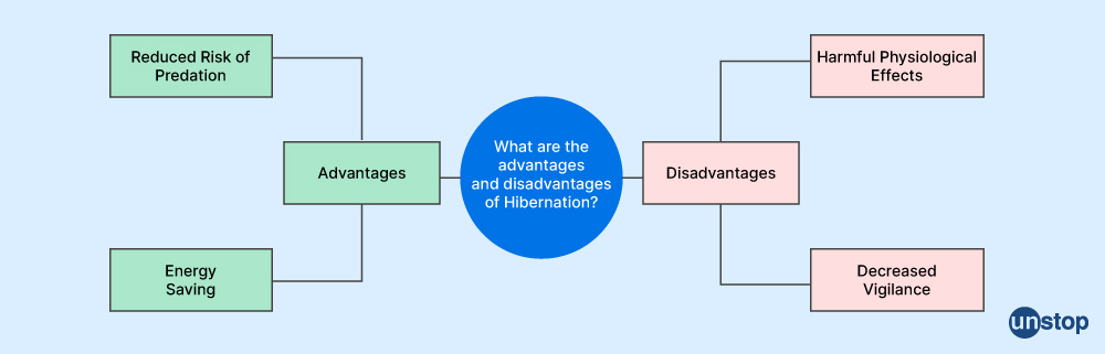 Advantages of Hibernate - Unstop