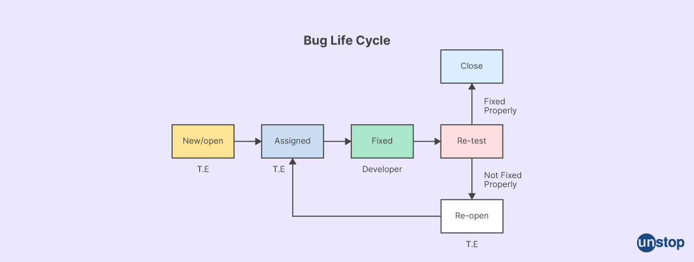 Bug lifecycle - Unstop