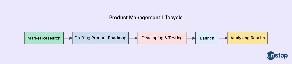 What is Product Management