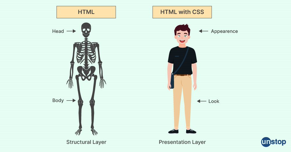 Difference between HTML and CSS