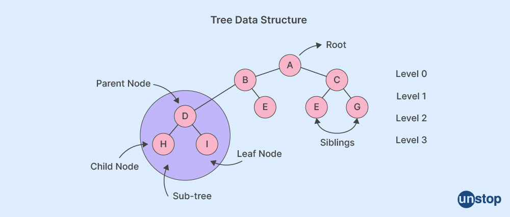 Non-linear data structure-Tree