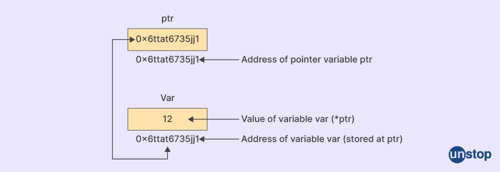 TCS interview questions- What are Pointers?