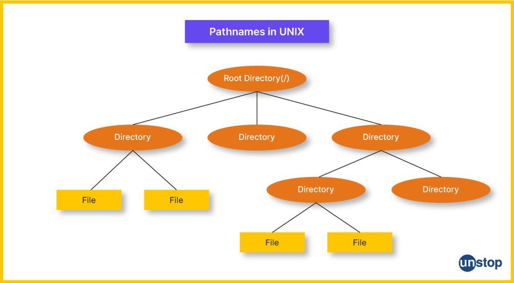 Absolute and Relative Pathname in UNIX