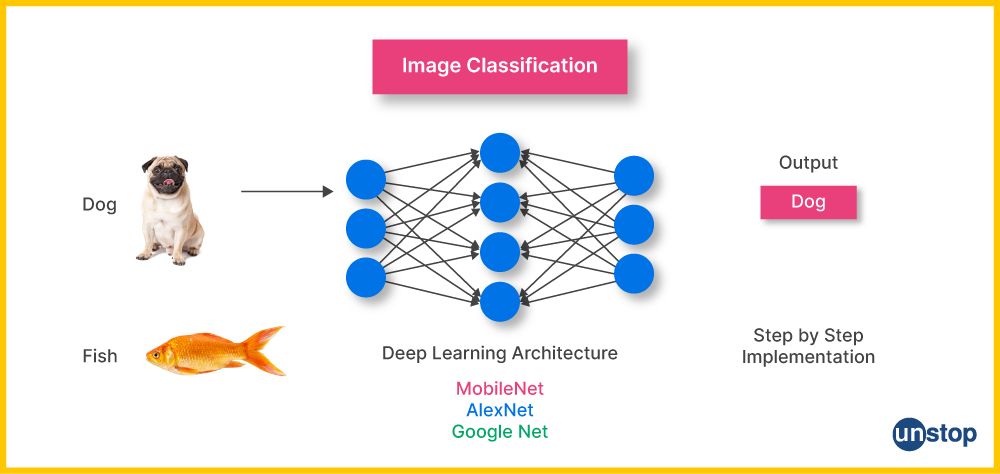 AI Project Ideas: Image Classification 